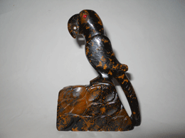Related Tiger Eye Parrot