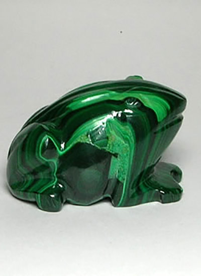 Malachite Frog Image