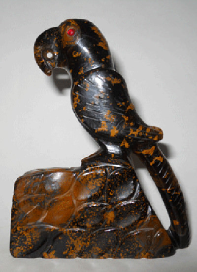 Tiger Eye Parrot Image