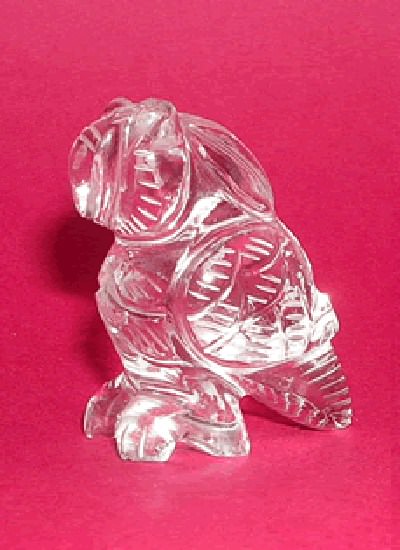 Crystal Parrot Image