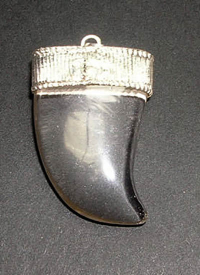 Crystal Claw Pendant Image