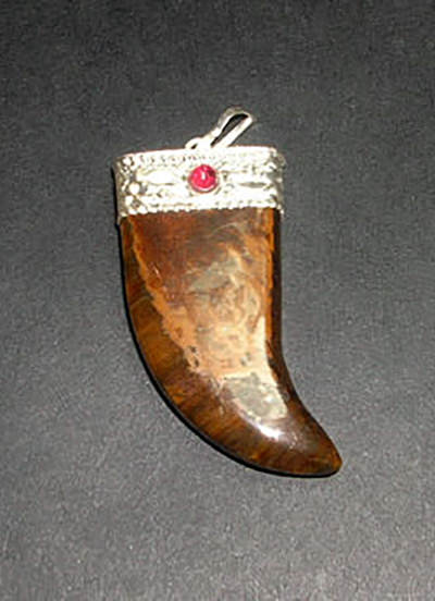 Tiger Eye Claw Pendant Image