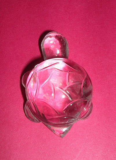 Crystal Tortoise Image