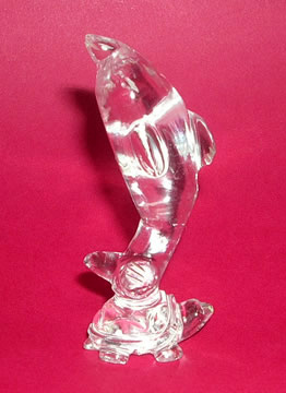 Crystal Dolphin on Tortoise Image