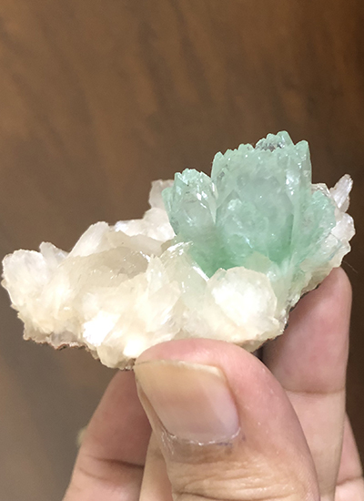 Stunning Green apophyllite on stilbite Image