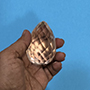 Kriya Shakti Crystal Activator Image
