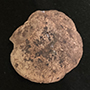 Quartz crystal geode with calcite Image
