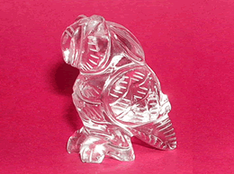 Related Crystal Parrot