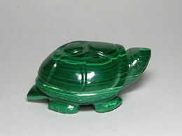 Related Malachite Tortoise
