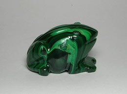 Related Malachite Frog