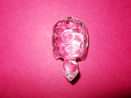Related Crystal turtle